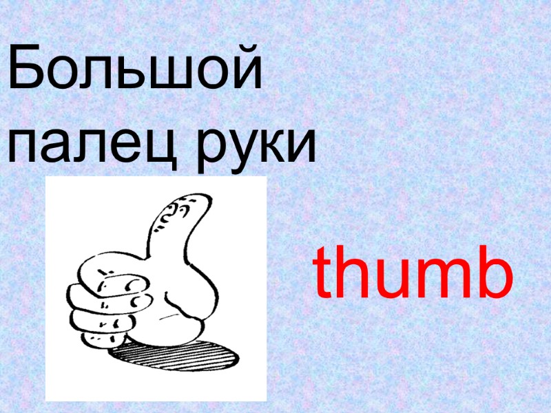 thumb Большой  палец руки